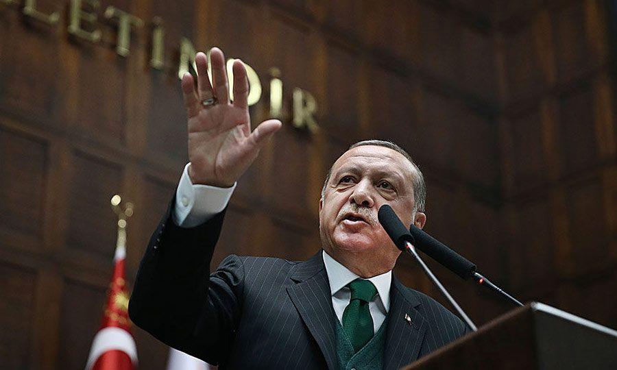 4235993445410462 image