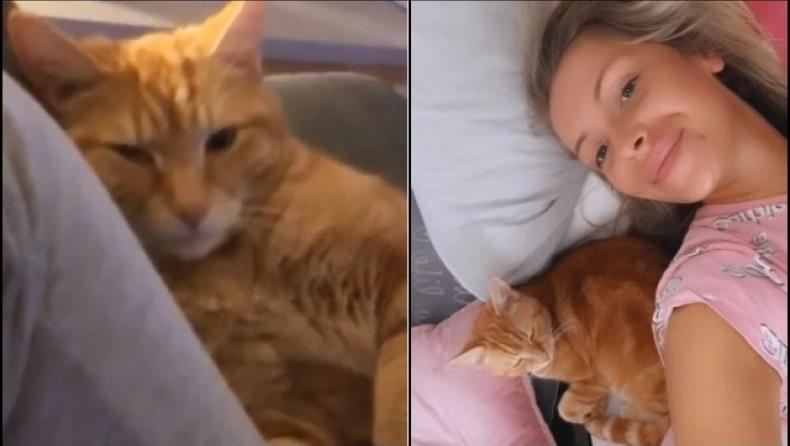 4236902979538330 image