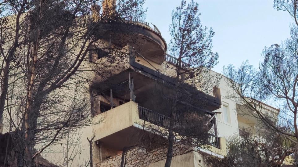 4236981434156264 image