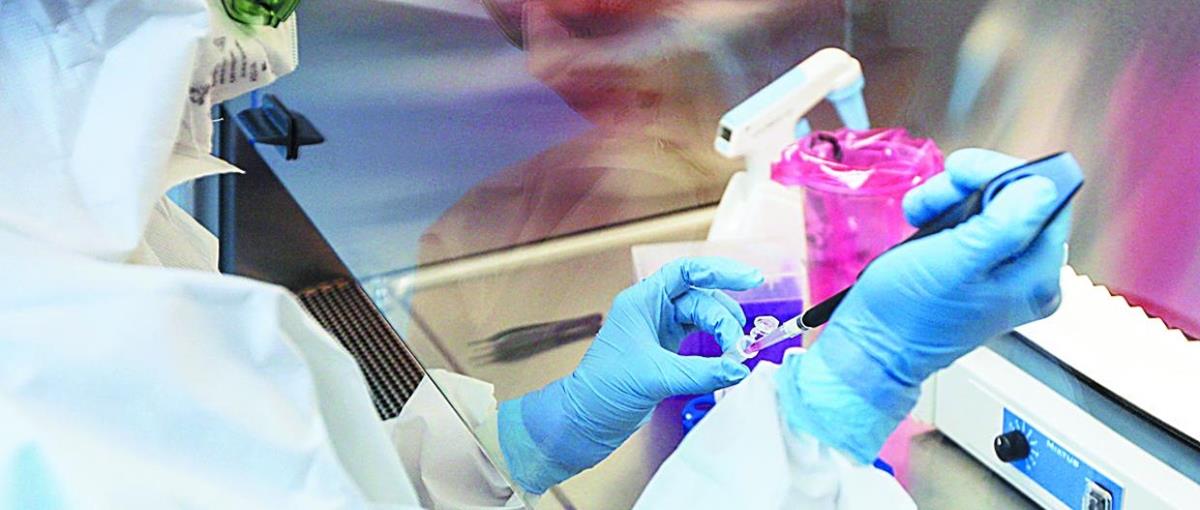 4236986409574252 EULOGIA PITHIKON 4