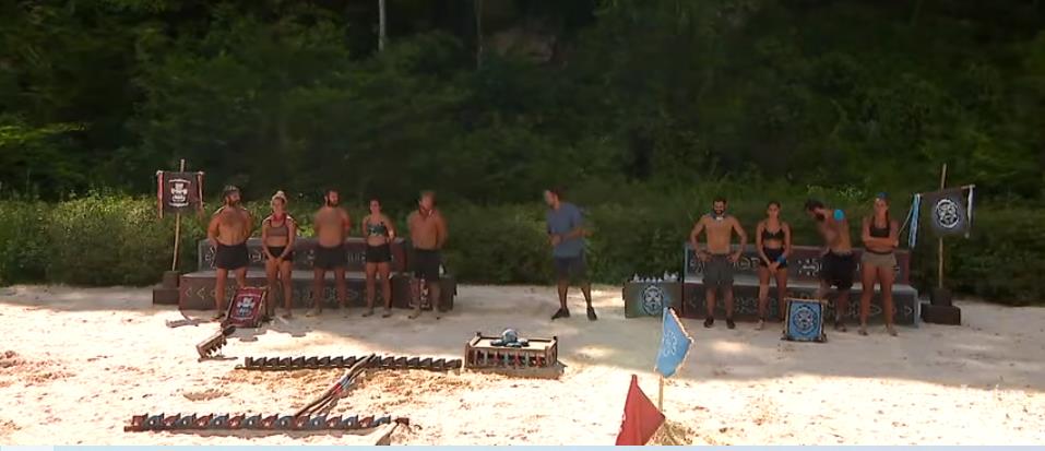 4238204856787482 image