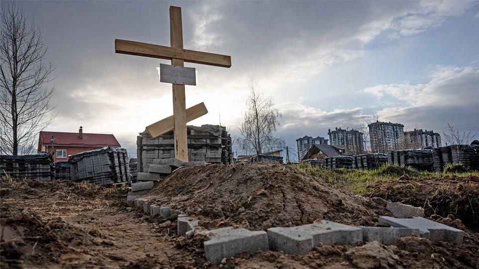 4238473252762799 image