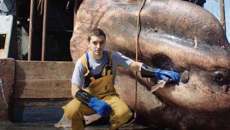 4238708187640707 image