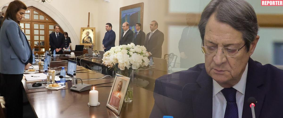 4239166579470300 image