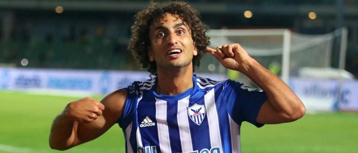 4239295798045240 cats