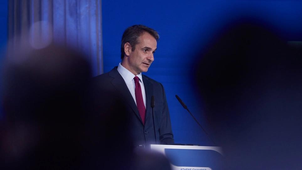 4240860651602652 image