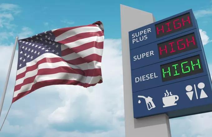 4241882161888393 image