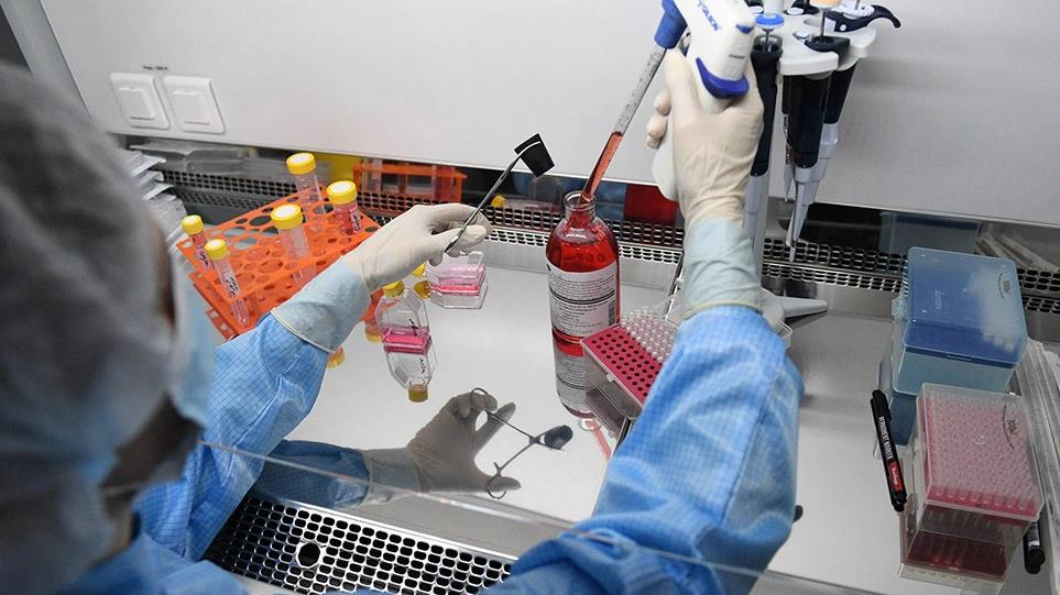 4242501327555191 image