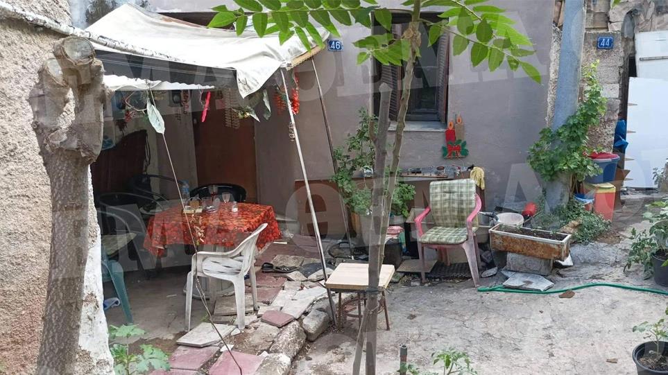 4242763141261603 image