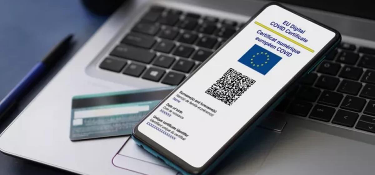 4244263635997367 156