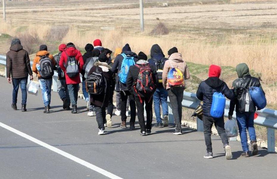 4245279547605631 ImageHandler (1)