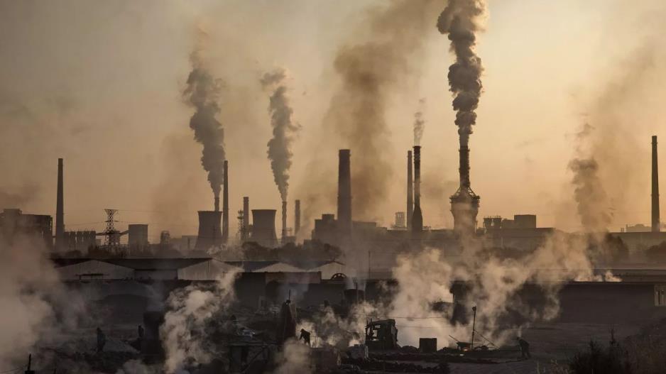 4245526040620000 image