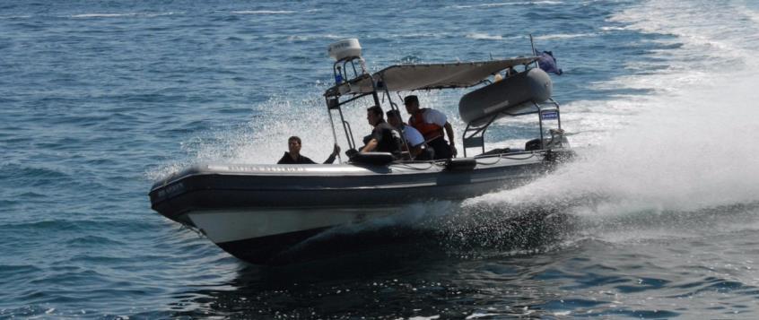 4245945254164599 image