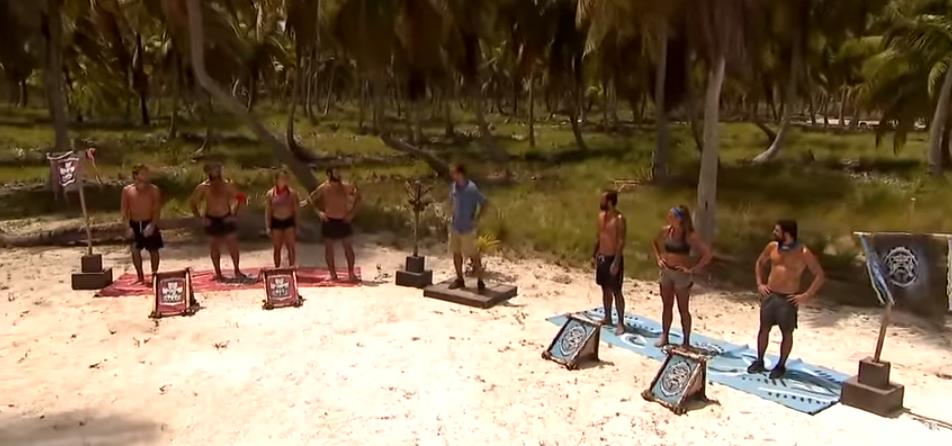 4245984746556535 image