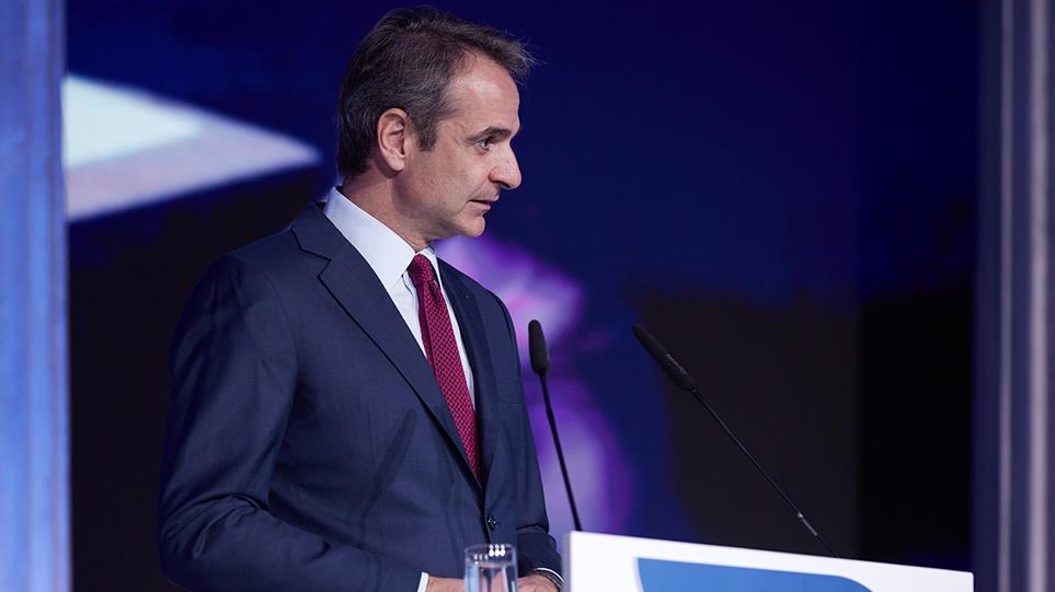 4246213477359911 image