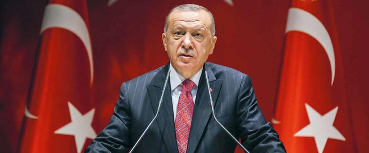 4247096190729801 image