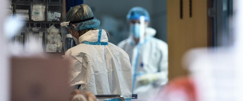 4247174819870585 image