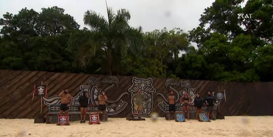 4249450808380593 image