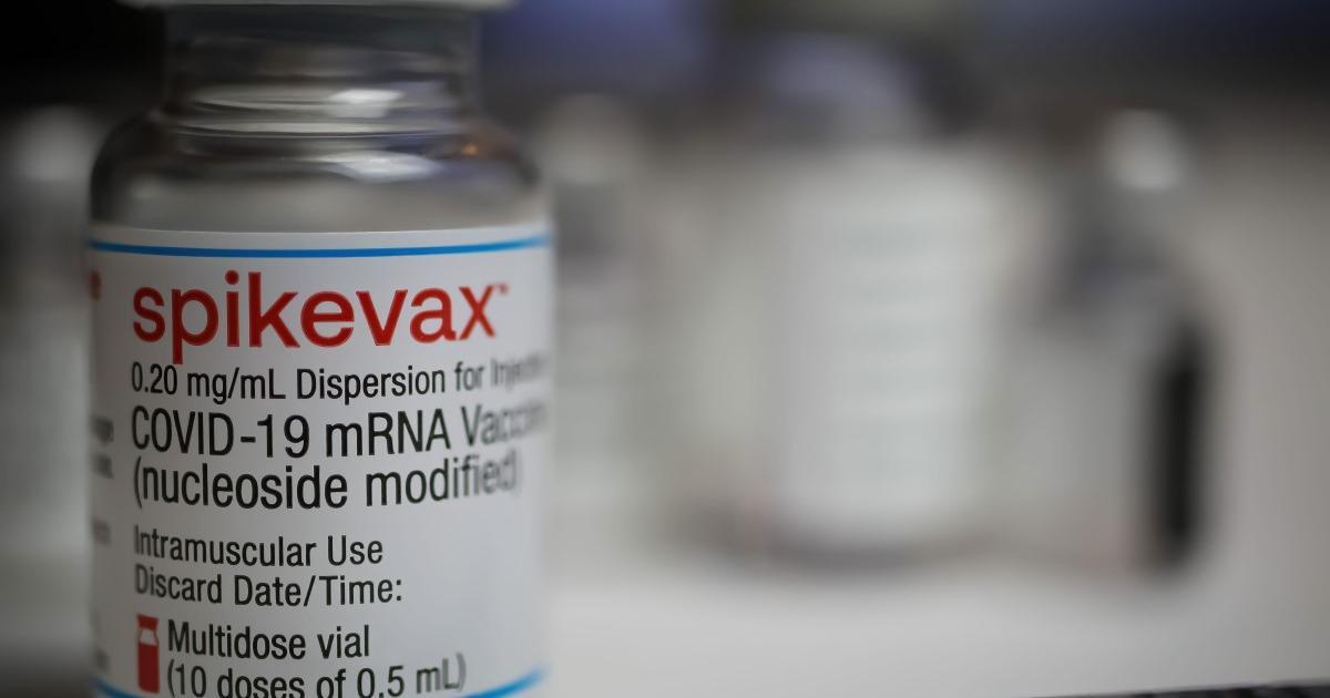 4249516888665033 image