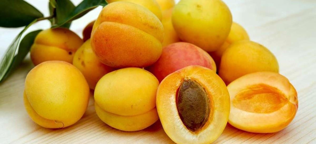 4249520727956422 fruit-apricotjpg
