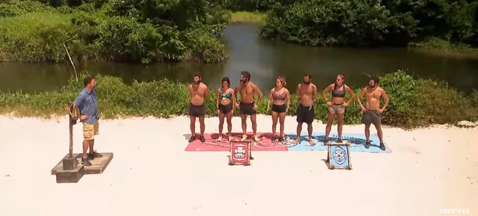 4252046117567369 image