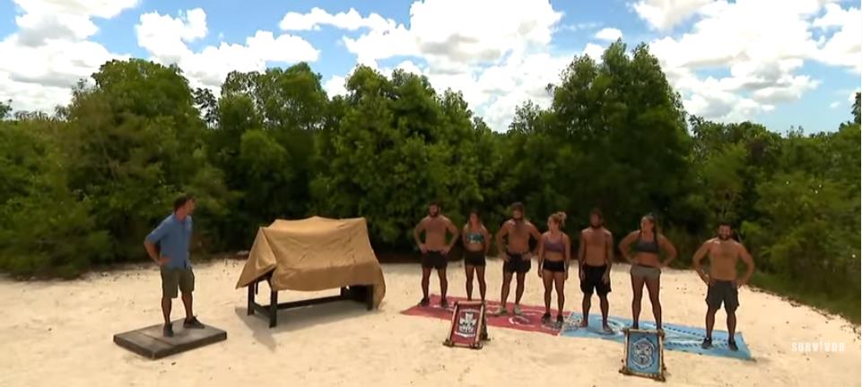 4252897273940093 image