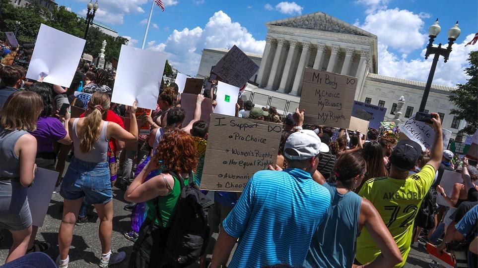 4254592696722017 image