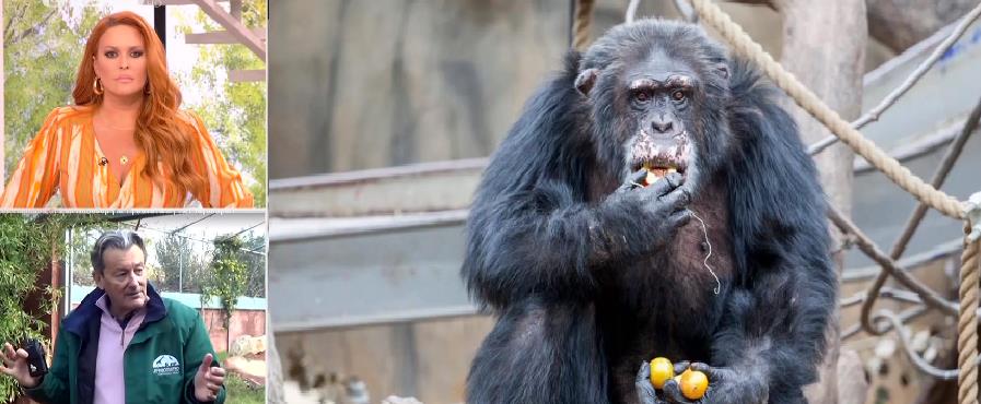 4254765828046367 Untitled