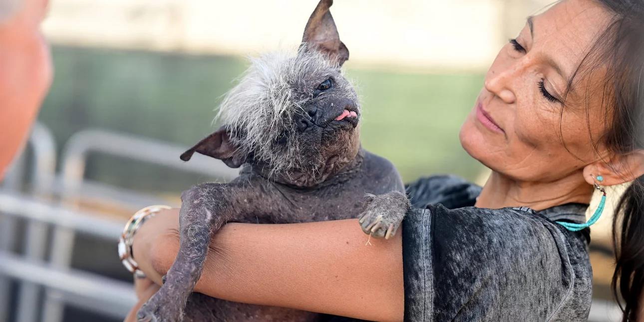 4254775522354367 image