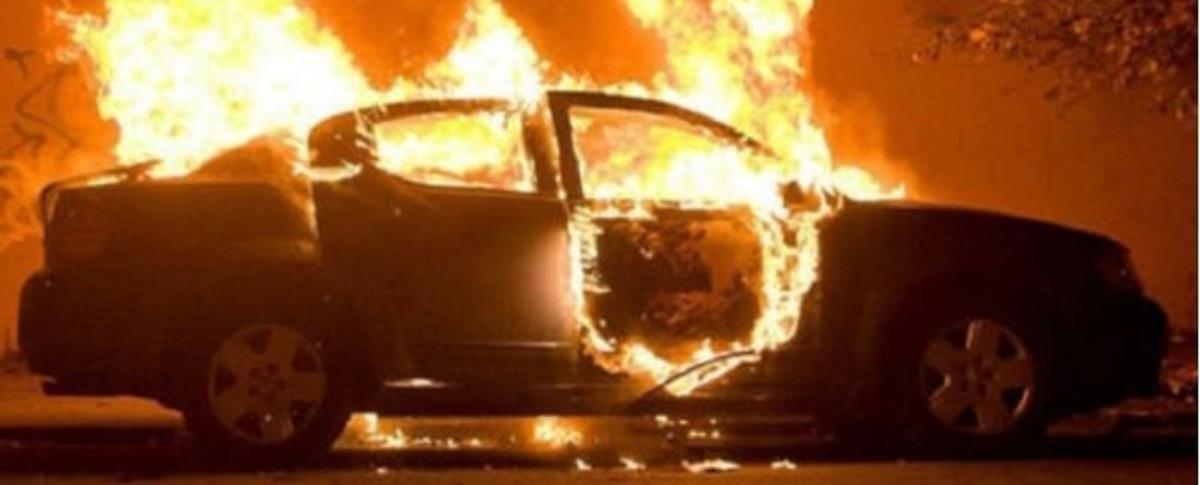 4256386655445464 ojergpjgpojgergjr