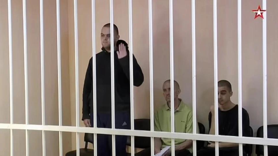 4259233286558310 image