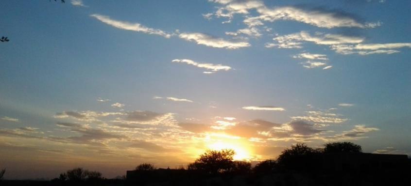 4261508360442360 image