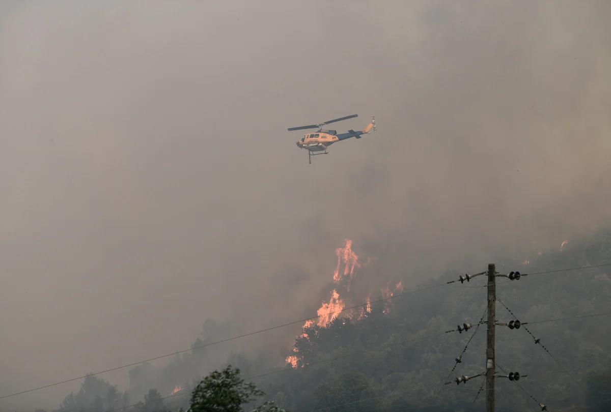 4261990271372851 image