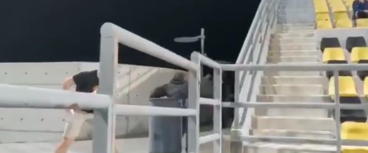 4262474844675518 image