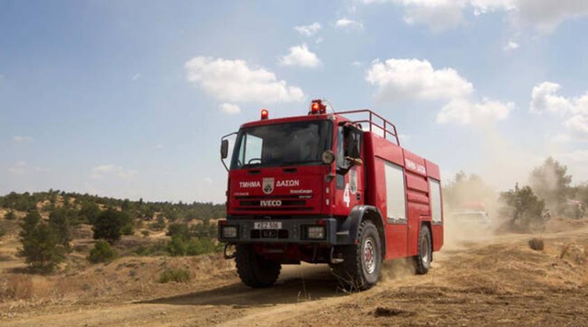 4262550438154609 image