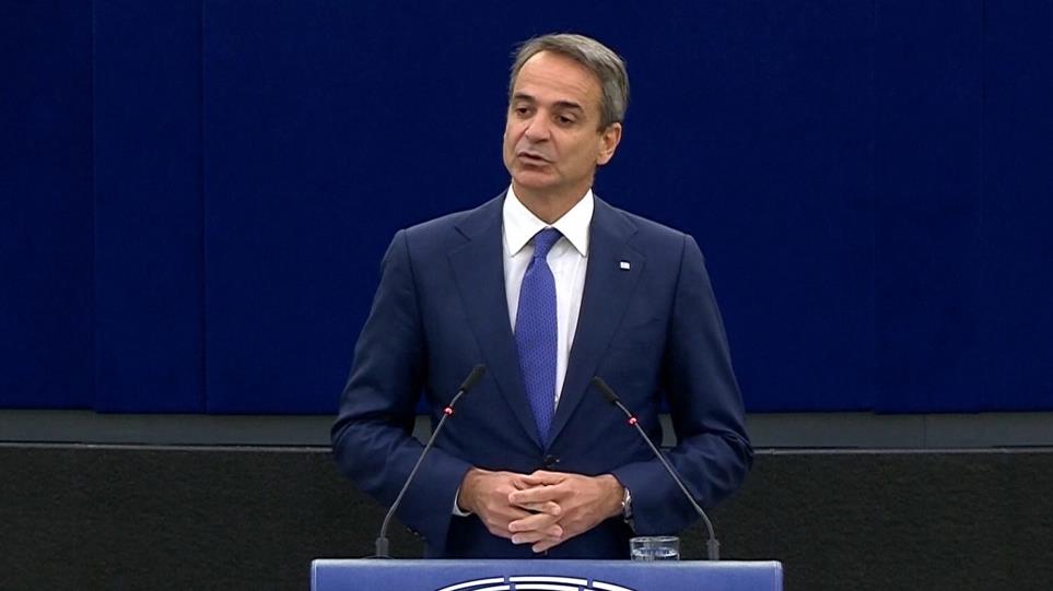 4262564419891486 image