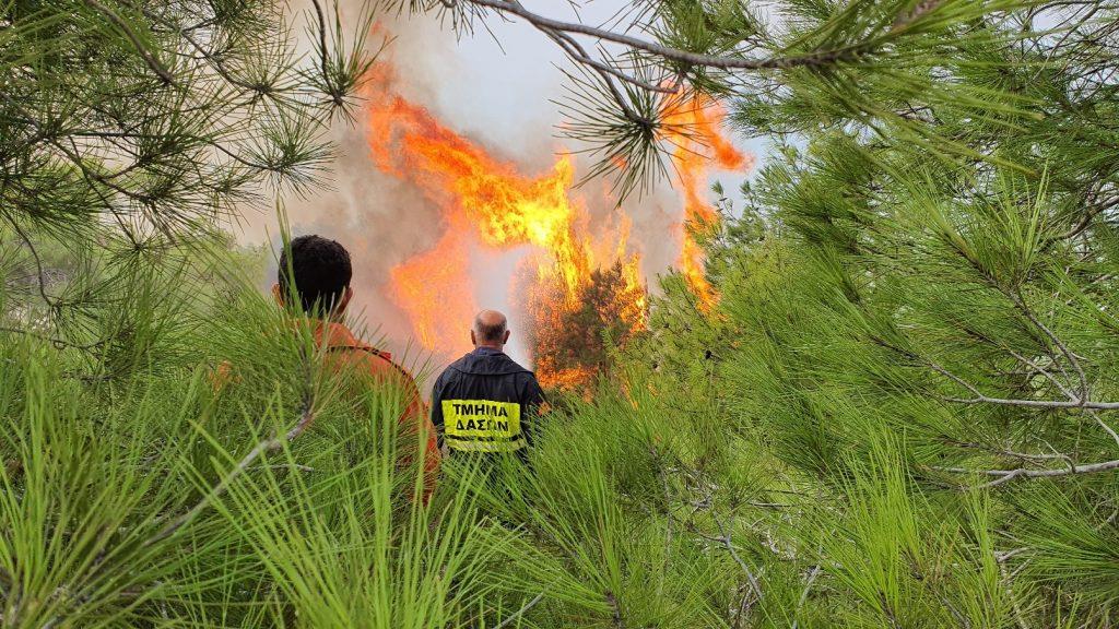 4263360551949847 image