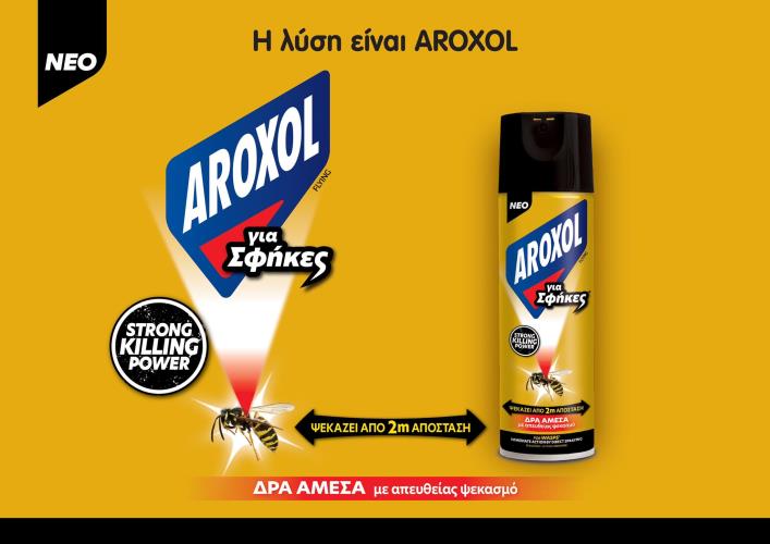 4263426323870888 291395235 451860953041266 9015825014422703375 n