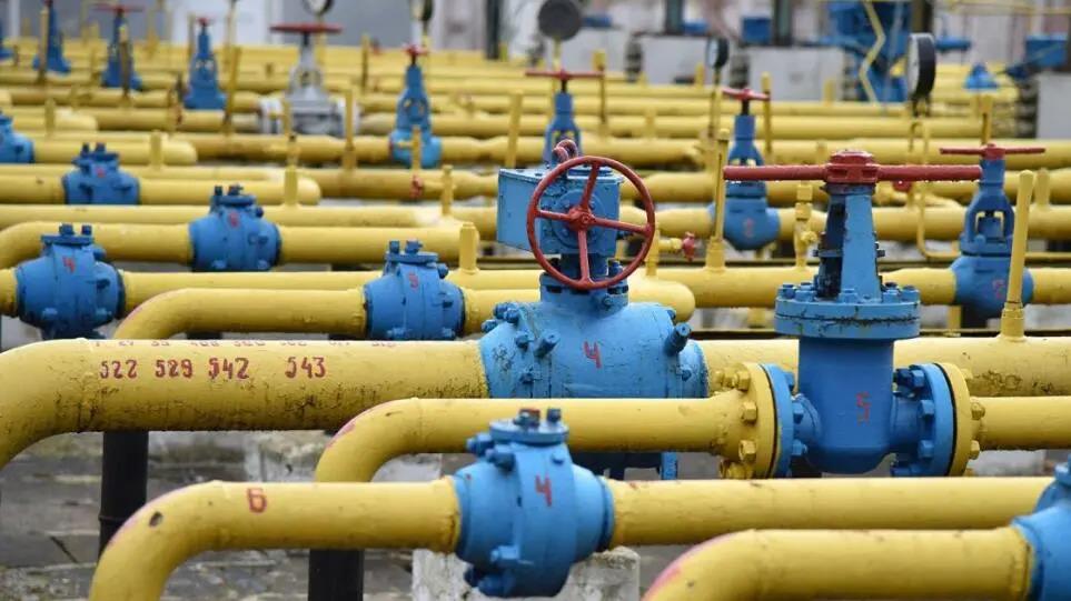 4263474183268017 image