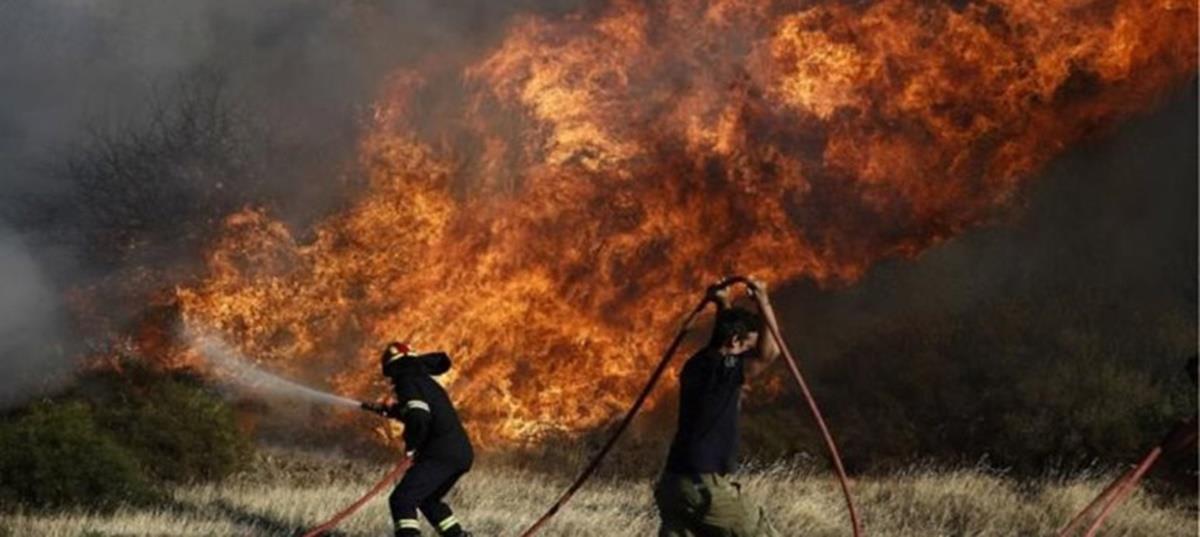 4263480581140017 537