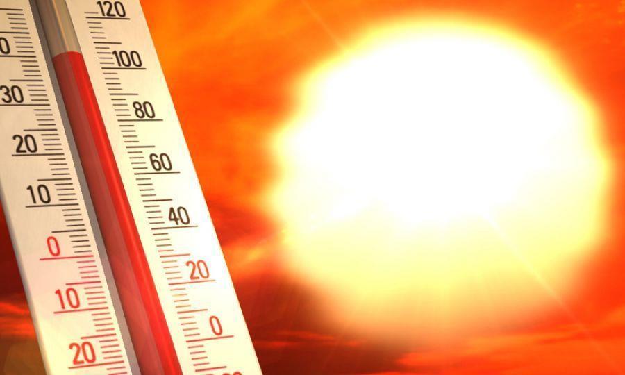 4263537082108187 image