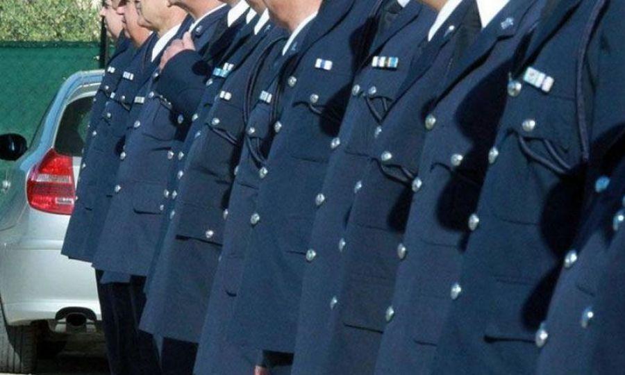 4263571516486187 image