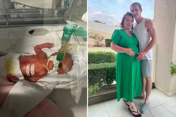 4263773766242977 image