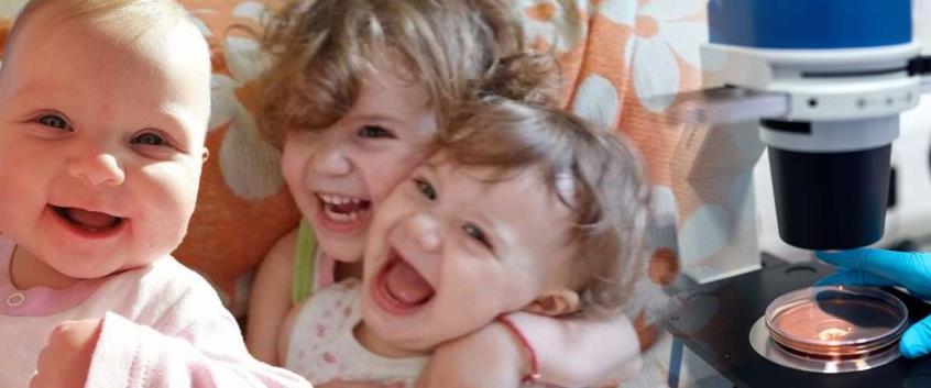 4265840809785184 image