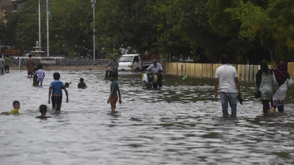 4266702222992893 image