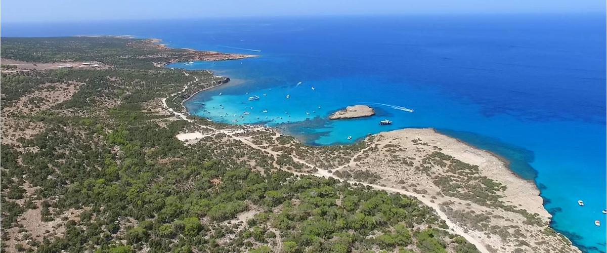 4266900800194597 image