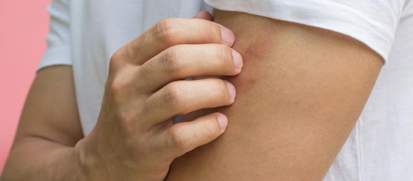 4268119159887435 image