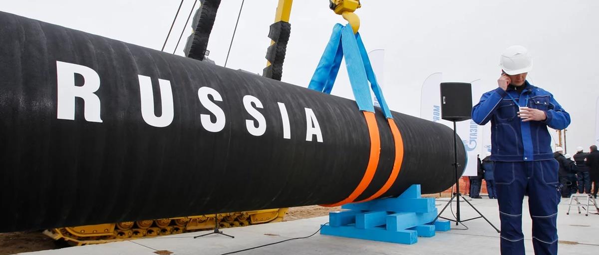 4268442887736912 115