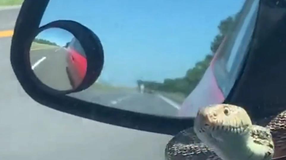 4268683314602095 image