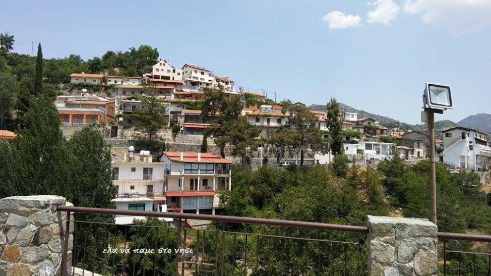 4269607749133623 image